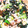 友梨香ママ's cooksnap of when they made 豚にらもやしと厚揚げの卵炒め.