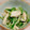 ♡ともりん's cooksnap of when they made 簡単 ささみときゅうりの中華サラダ.