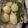 105♡'s cooksnap of when they made 葉玉ねぎのグリル.