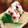 ちゃちゃまる26's cooksnap of when they made 京風 生しば漬けとちりめん山椒のおにぎり.