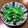 みちばたの花's cooksnap of when they made のらぼう菜のお浸し✨.