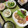 ぐりtoぐら's cooksnap of when they made すぐできる☆ほうれん草のさっと煮.