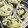 たまさぶろうの部屋's cooksnap of when they made かぼちゃとほうれん草の豆乳蒸しパン.