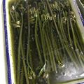 ひかりを's cooksnap of when they made 簡単‼農産物店直伝 わらびのアク抜き♪.