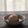 masa0508's cooksnap of when they made 新玉ねぎのそぼろあんかけ.