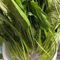 のんべぇヒロ's cooksnap of when they made 綺麗無駄ない小松菜・法蓮草の洗い方切り方.