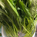 のんべぇヒロ's cooksnap of when they made 綺麗無駄ない小松菜・法蓮草の洗い方切り方.