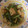 kuppipipi's cooksnap of when they made 小松菜と厚揚げオイスター炒め.