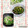♪としクック♪'s cooksnap of when they made ツナといんげんのスパイシー炒め☆.