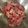 花花里's cooksnap of when they made 安い牛肉を簡単にやわらかく.