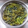 クックYJZ2D2☆'s cooksnap of when they made ワラビのアク抜き & 保存の仕方.