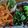 runananana's cooksnap of when they made かいわれハム.