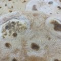 みひろひろろ's cooksnap of when they made 手作りピザ生地(トマト風味).