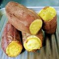 みみ母's cooksnap of when they made 焼き芋.