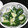 ウッピィ's cooksnap of when they made 箸が止まらぬきゅうりの塩糀ナムル.