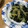 Sac’HiNa's cooksnap of when they made わかめと玉ねぎの生姜炒め.