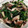 みこひろママ's cooksnap of when they made ほうれん草としめじ、もやしと人参のナムル.