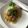 パグゾウくん's cooksnap of when they made 鯖缶とキャベツのペペロンチーノ.