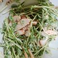あんこだよ。's cooksnap of when they made 簡単でヘルシー、鶏肉と豆苗の絶品サラダ♪.