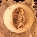 クック6JBVQE☆'s cooksnap of when they made レンジで簡単！鮭の包み焼き☆.