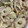 pappara8's cooksnap of when they made アボカドとちくわのマヨ醤油あえ.