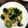 みろぷー's cooksnap of when they made 簡単美味しい胡瓜の生姜浅漬け.