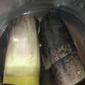 こつゆ514's cooksnap of when they made 圧力鍋でお手軽！たけのこのゆで方.