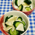 ととろ＆めい's cooksnap of when they made 塩：砂糖＝1：６の◯◯漬け♪.