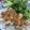 kirinda's cooksnap of when they made カオマンガイ: ข้าวมันไก่.