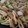 Ｍぱん's cooksnap of when they made 簡単！ お出汁 の きいた 焼きうどん！.