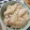 瀬戸ぽん's cooksnap of when they made ほんのり梅しらすご飯.