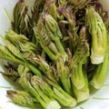 monaca248's cooksnap of when they made たらの芽・こしあぶらの下処理方法.