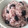 ふ〜か♪'s cooksnap of when they made 大粒のおいしい丹波黒で♪黒豆ごはん.