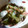 ねこはがき's cooksnap of when they made ２種類の酢で☆さっぱり酢の物☆.