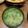 GoGo島みかん's cooksnap of when they made セロリのスープ.