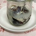 がんばれままちゃん's cooksnap of when they made アガーでぷるぷるドリップ珈琲ゼリー.