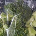 mikiha5's cooksnap of when they made ✿ブロッコリーの保存✿そのまま冷凍する！.