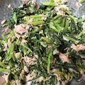 クックJA1A68☆'s cooksnap of when they made 小松菜のツナ和え.