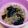 じゅーーーーん's cooksnap of when they made 2歳の子供も大好き★オクラと海苔のスープ.