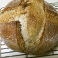TeaMuffin's cooksnap of when they made 自家製酵母でチアシードのカンパーニュ.