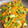 プチシュ's cooksnap of when they made 絹さやしりしり？.