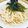 bell_'s cooksnap of when they made 海ぶどうと明太子のプチプチ和風パスタ.