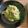 クックJAUWMT☆'s cooksnap of when they made エビとアボカドのオイルソースパスタ.