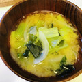 azbjbn's cooksnap of when they made 小松菜と長ねぎとわかめの味噌汁.