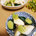 クックI7I5L1☆'s cooksnap of when they made 簡単　かぶときゅうりの柚子胡椒漬け.