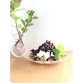 クック4649★'s cooksnap of when they made くるみをチョコレートで美味しく♪.