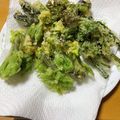ナップ99's cooksnap of when they made たらの芽・こごみ・こしあぶらの山菜天ぷら.
