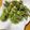 ナップ99's cooksnap of when they made たらの芽・こごみ・こしあぶらの山菜天ぷら.
