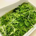 azbjbn's cooksnap of when they made シャキッと！水菜の保存方法.
