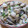クックA492J4☆'s cooksnap of when they made 簡単なあさりの酒蒸し.